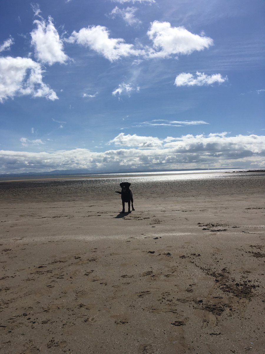 JEANNIEBEAN73's tweet photo. Solway Coast #southerness #dhoon bay @VisitScotland https://t.co/iO8ajk6eAU