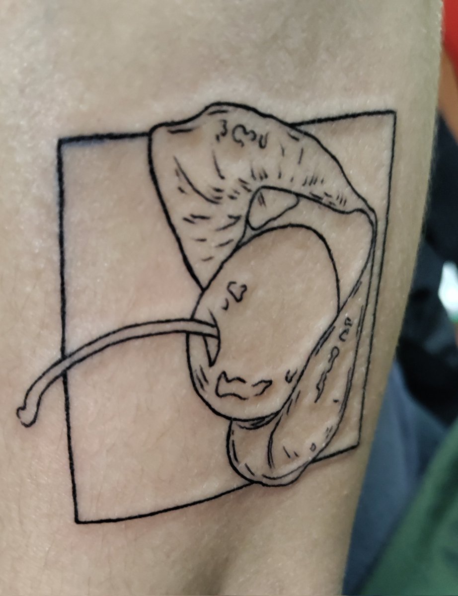 GAYTOMICBLONDE's tweet photo. have always thought about this and now it's done 🍒🍒🍒

bitter x cherry inspired tattoo @findingfletcher 

art by: @jiyaneru https://t.co/cS3SdZJme0