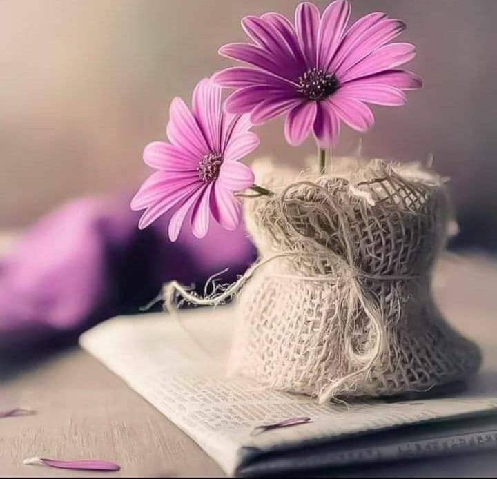 suzad7's tweet photo. https://t.co/zfYZGr4XaS