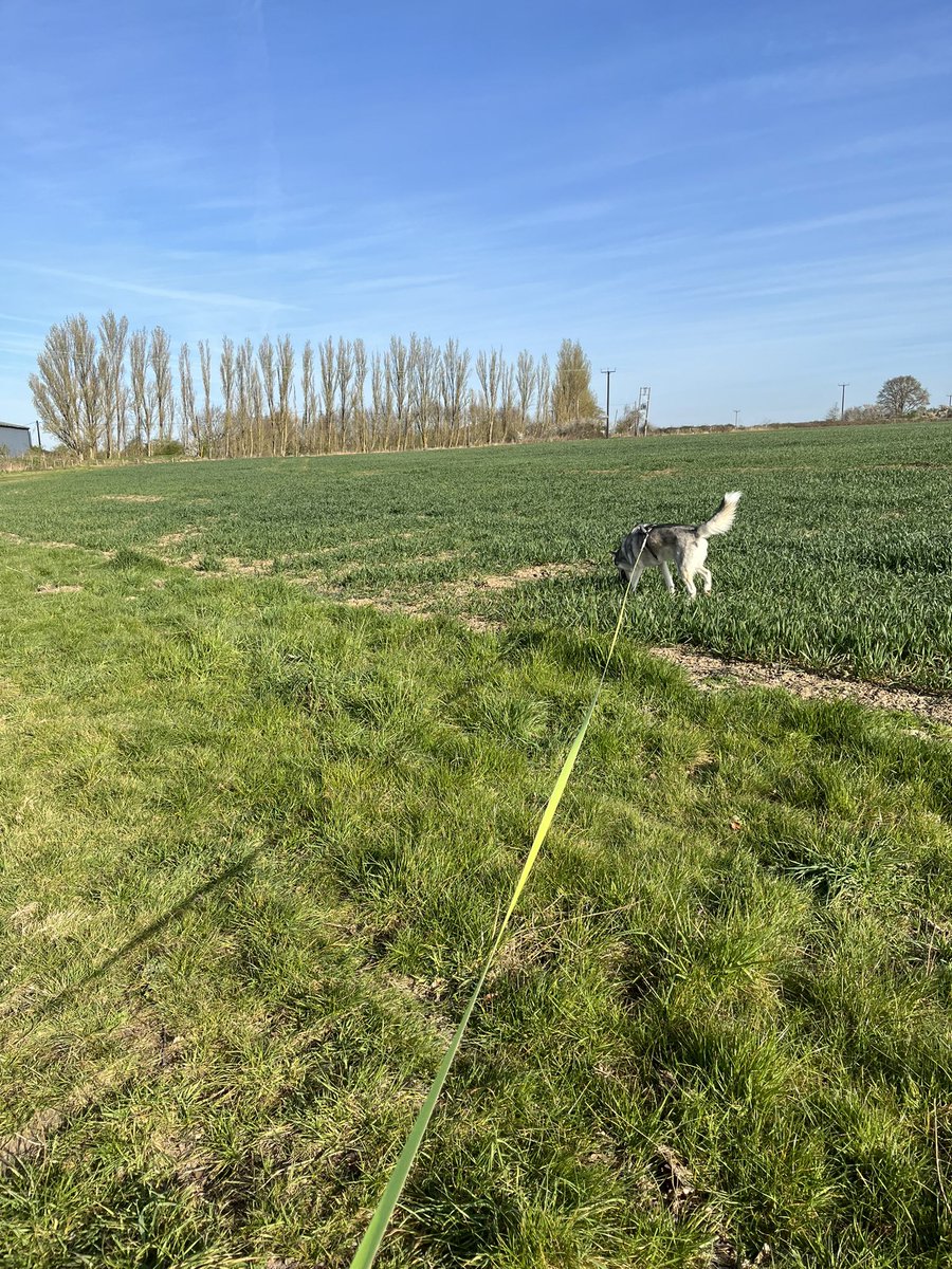 _JamesLinnane's tweet photo. Out for a morning walk ahead of #FightDay 💪👊 8 weeks of solid training in the bank and £727 raised for #CancerResearchUk https://t.co/xpqVcrilTT @CR_UK #CharityBoxing https://t.co/6hNcIcYVJ0