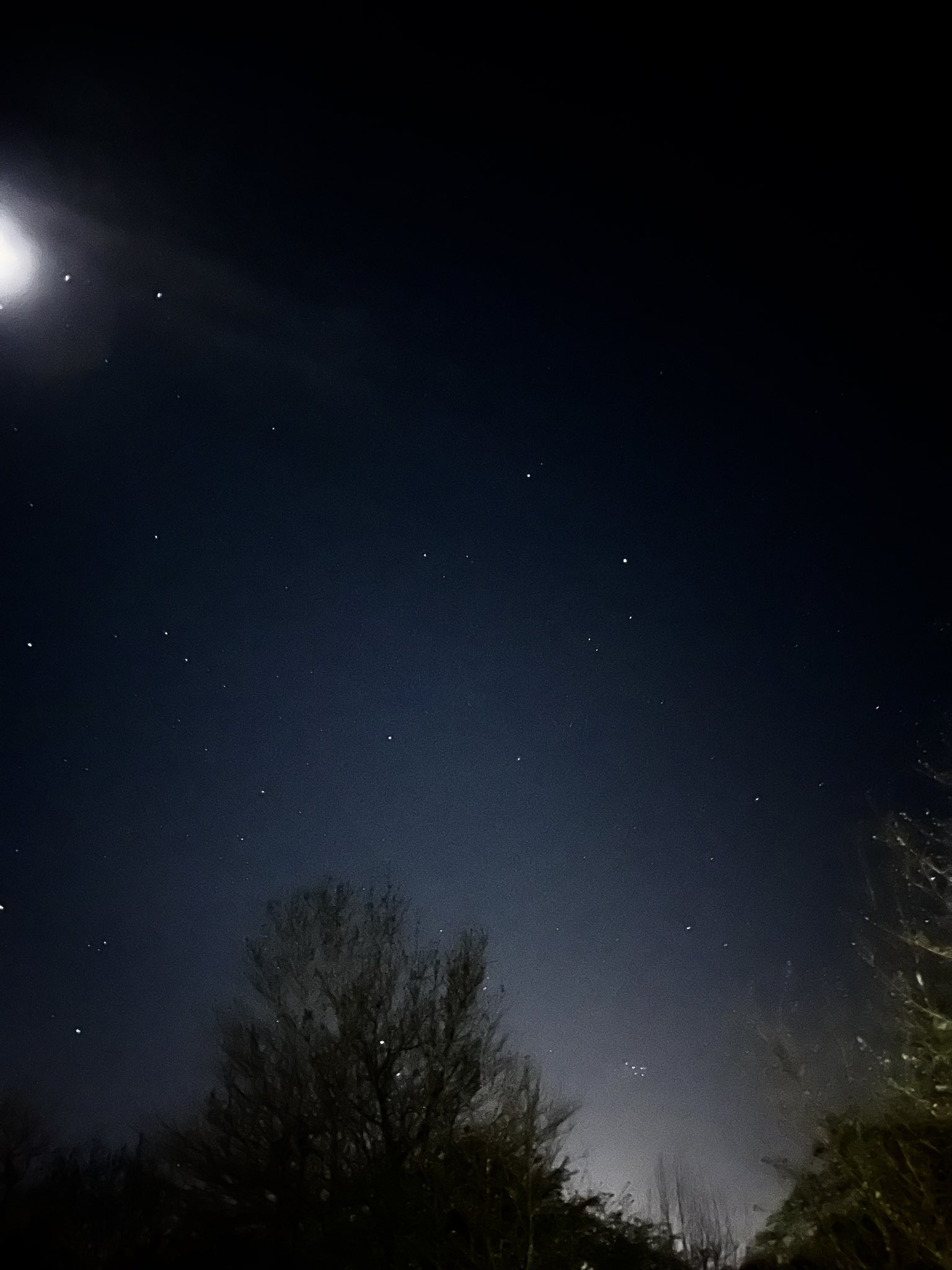 Cath Adams on Twitter: "Last night, for the the first time in a couple of  months I sat out in my garden under the Moon and stars….this photo is just a  quick