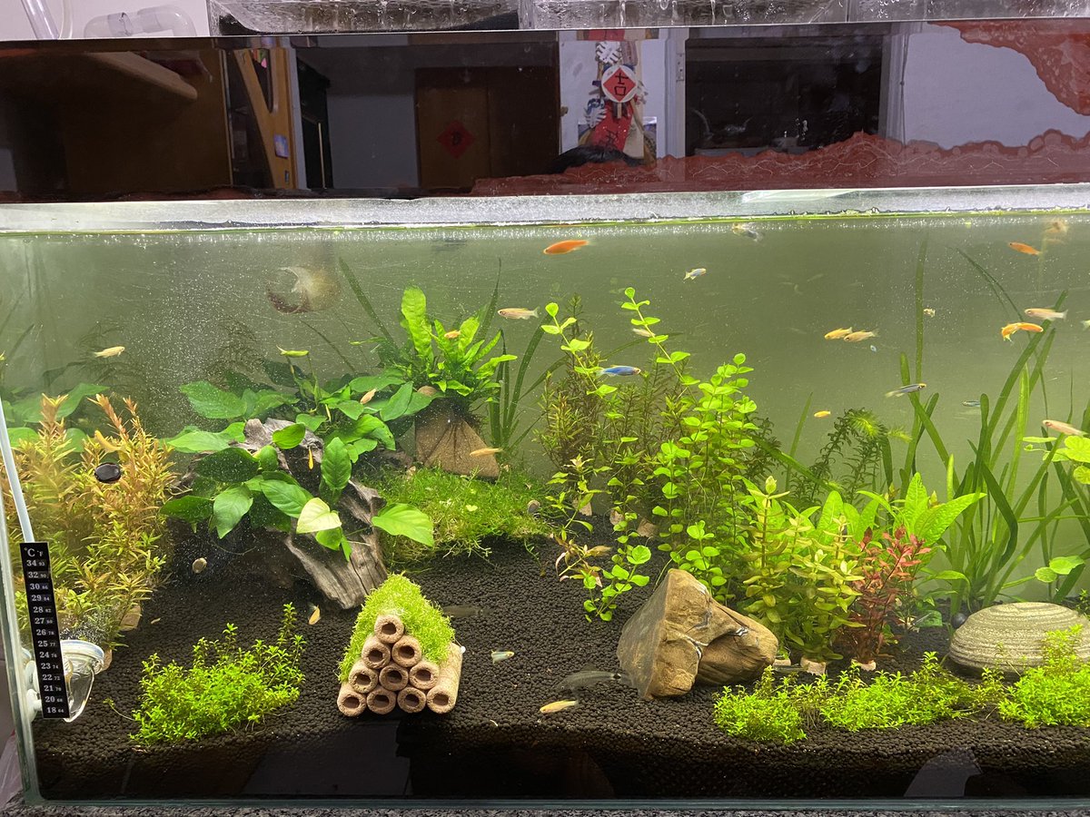 江岳樺 (@andyshenzz) on Twitter photo 