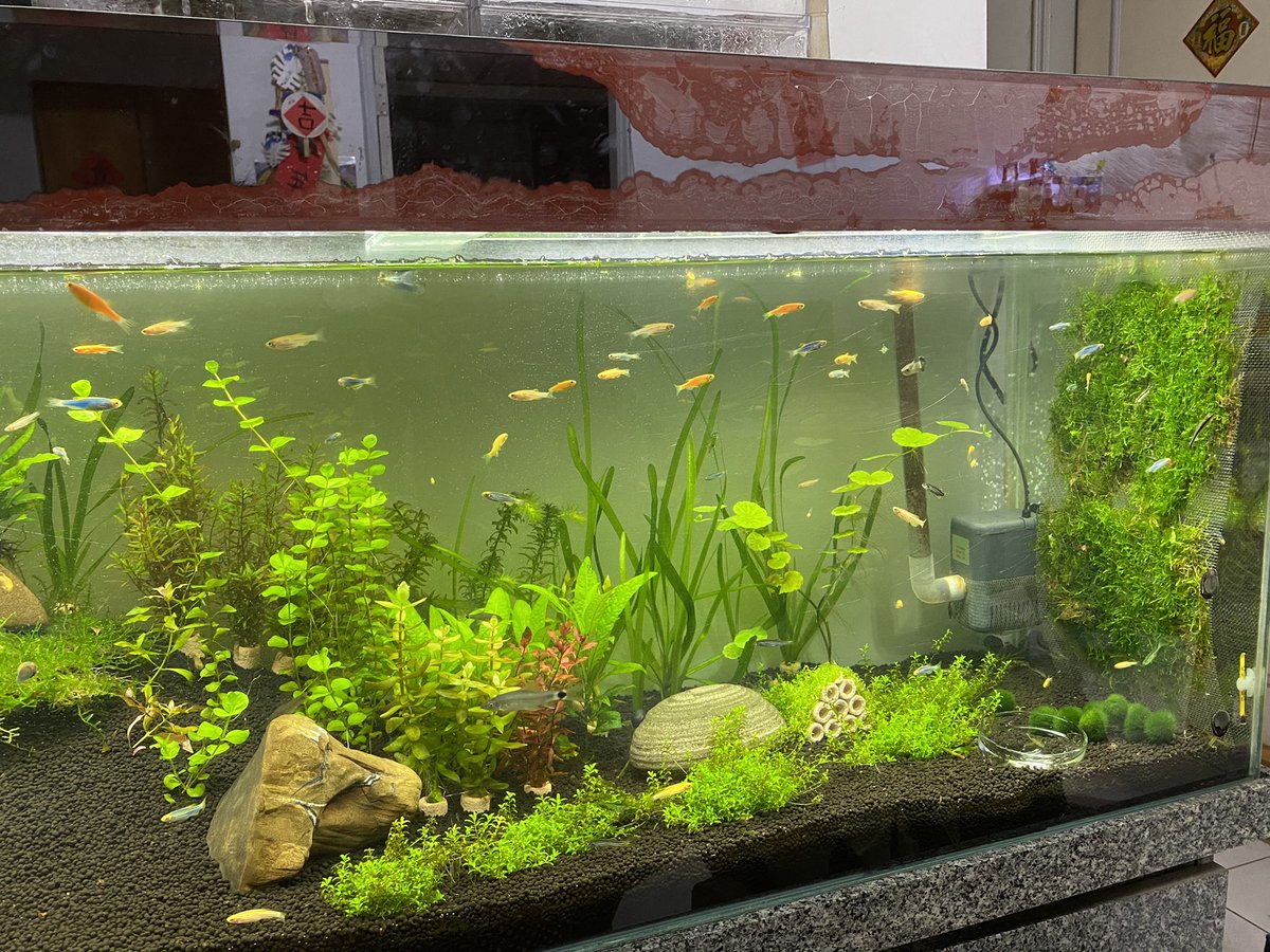 江岳樺 (@andyshenzz) on Twitter photo 