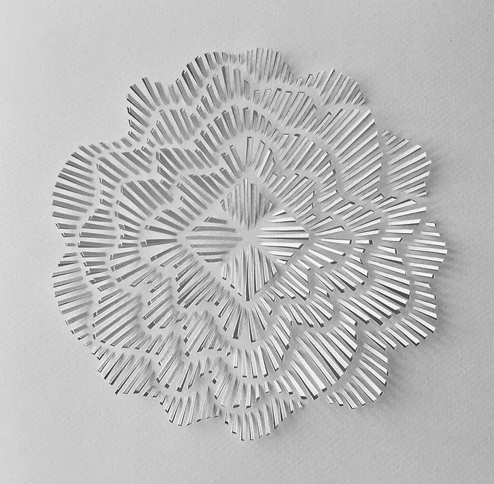WomensArtForAll's tweet photo. Anna Maria #Bellmann #WomensArt #ArtByWomen #PaperArt •Spring Suite• https://t.co/iszkviUjUG