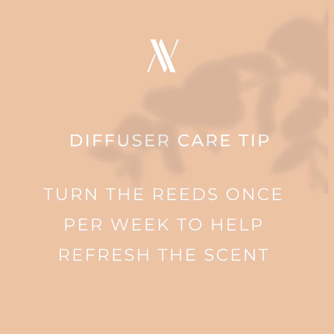 ⭐️3 Tips to make your Amaura London Diffuser Last ⭐️

✨ Turn your reeds once a week to help refresh the scent

✨ Do not leave your Reed Diffuser by a window because it will evaporate quickly

✨ Replace your reeds when you refill your diffuser.
Once your reeds are co