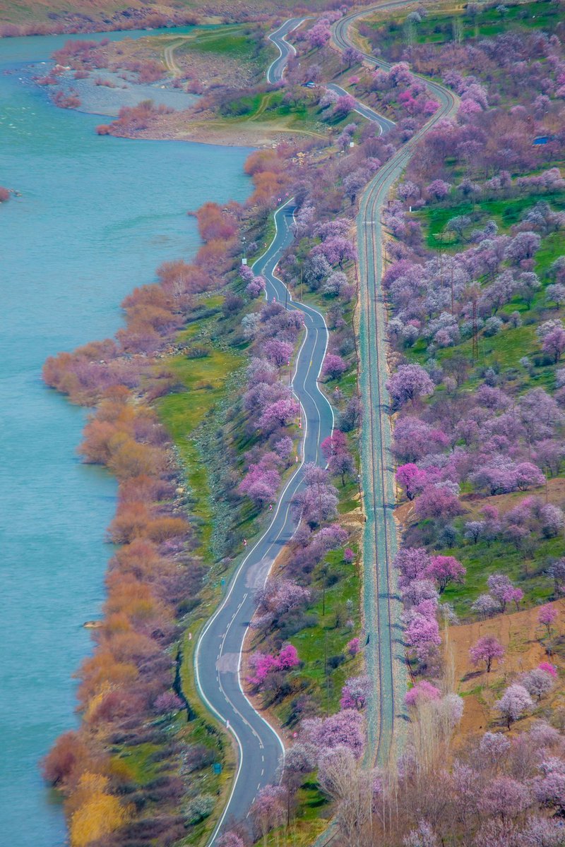 📍Palu

📸 : IG hanci_enver