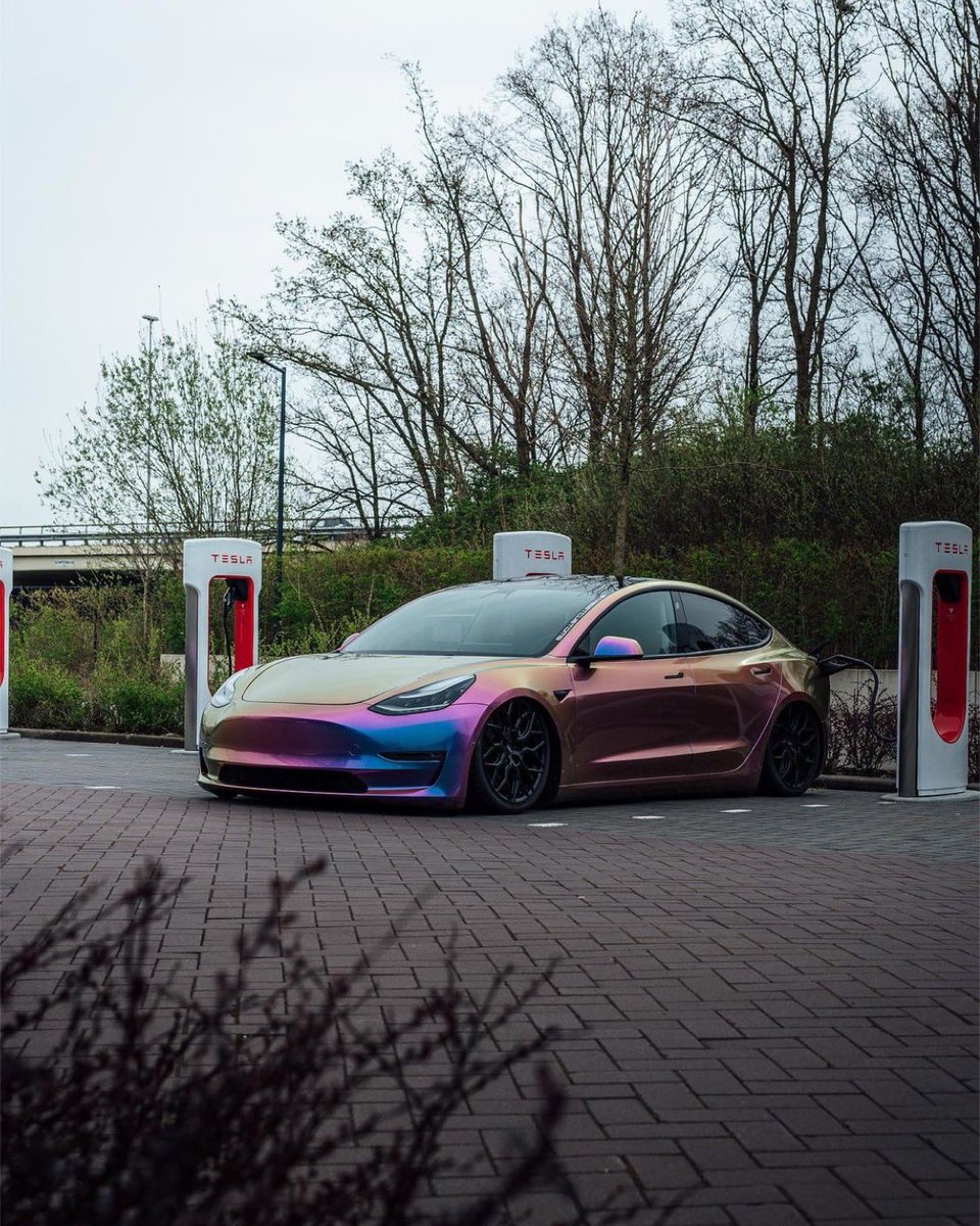 inozetek's tweet photo. How many of you are #tesla owners here?  Would you wrap your Tesla in #inozetek celestial unicorn if you can? 👀 @elonmusk https://t.co/fg6KNES7gP