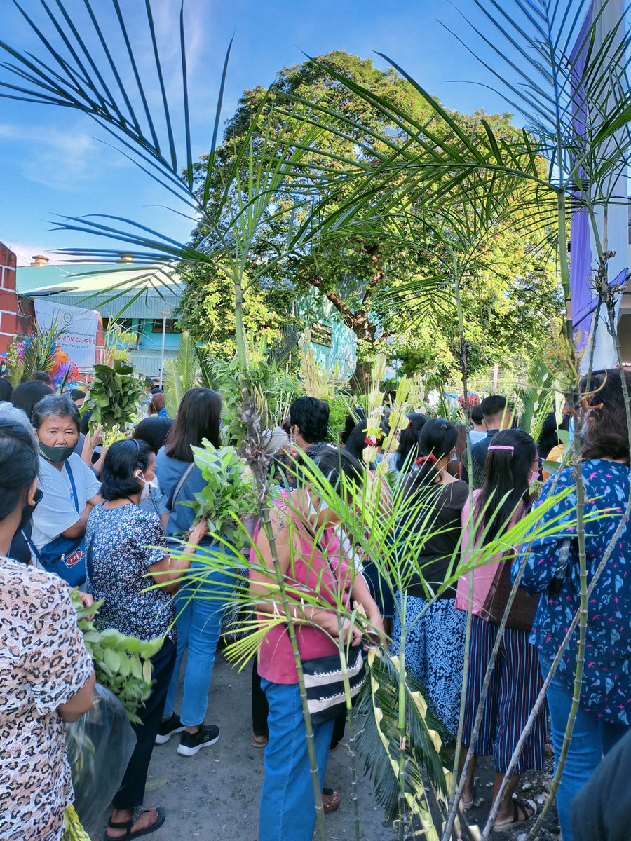superxtal's tweet photo. Blessed is the King who comes in the name of the Lord ❤️🌿
--Luke 19:38
#PalmSunday2022 https://t.co/2HhCj6ZPmE