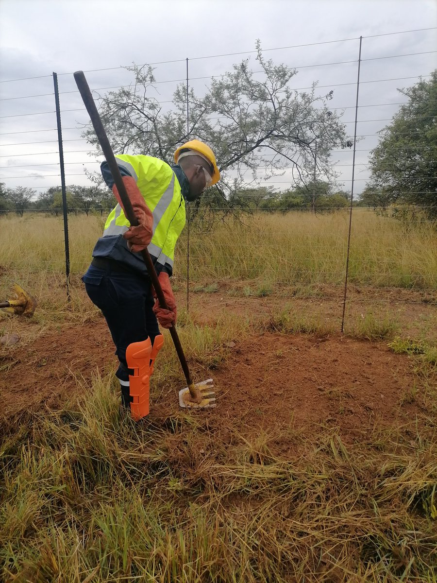 wo_fire's tweet photo. #WOF_LIM's Vingerkraal, Leseding, Alma and Lephalale Teams have successfully completed the Yellow Card Training Camp, they are now fully equipped and ready for the #WinterFireSeason_2022
#YellowCardTrainingCamp
#BeFireSafe
#FireReadiness
@environmentza
@CapricornFM
@WaterbergFM https://t.co/HebATppbJK