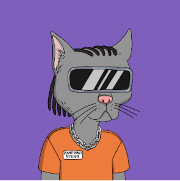 SK_77705's tweet photo. Gutter cat gang 😼 https://t.co/YpQglvJjJw