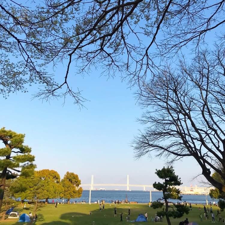 minatomirailife's tweet photo. #春 というより、 #初夏 の陽気の
#みなとみらい 。

#みなとみらいフ
#ライフ
#臨港パーク
#横浜
#桜木町
#Minatomirai
#Yokohama https://t.co/7pKfiZ1le0