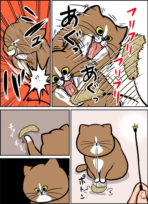 猫を10年飼ってわかった最強おもちゃ 