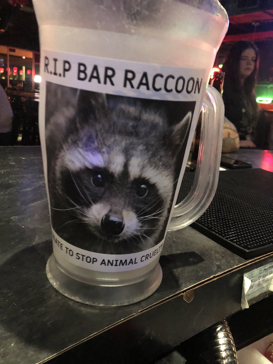 Tonight we are teaming up with <a href="/Chucksbycampus/">Chuck's</a> to raise awareness for animal cruelty, there will be a jar at the bar with our favorite raccoons picture. ALL donations will be taken to the human society ❤️