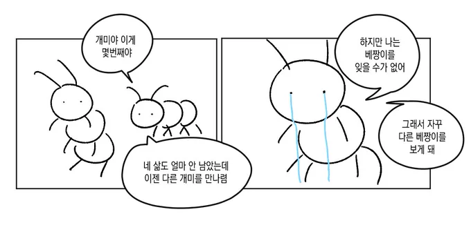 베짱이가 빨리 죽는다는 인알을 봤어요 