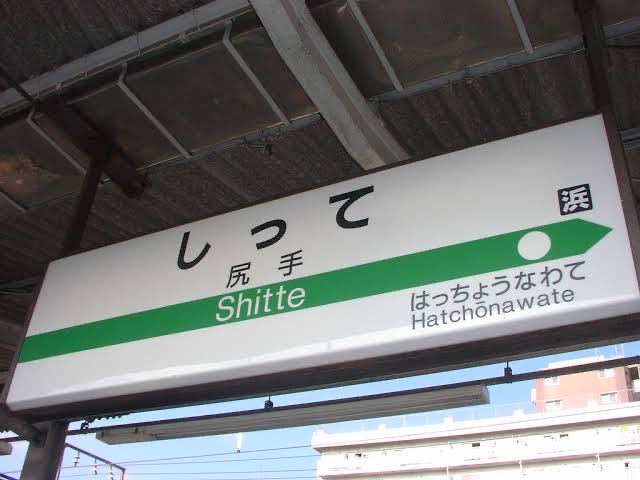 acelee's tweet photo. If it was one station name that embodied what the morning commute in Tokyo feels like, it would be #Shitte https://t.co/QNoGldykoN