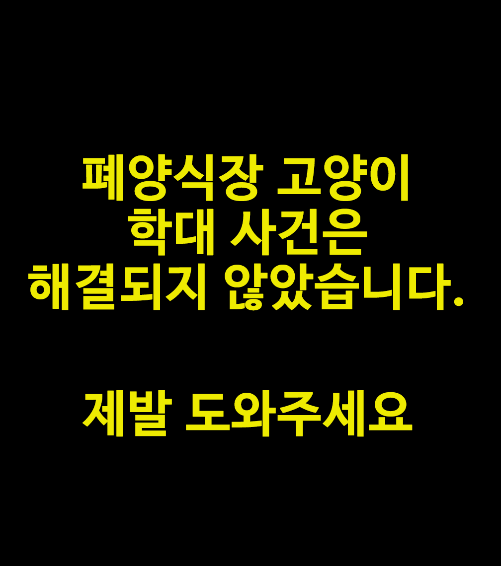qwer56568's tweet photo. 폐양식장 고양이 학대 사건은 해결되지 않았습니다

큰 단체가 나섰으나 후속조치가 없었기에 작은단체 몇이 수색을 하고 있었고, 오늘이 합동수색 마지막날인데
사람이 턱없이 부족합니다

증거 인멸 우려 및, 생존해 있을 아이들에 대한 단서를 찾아야 하는데
제발 제발 아무나 누구라도 도와주세요 https://t.co/jXz6weqM9V