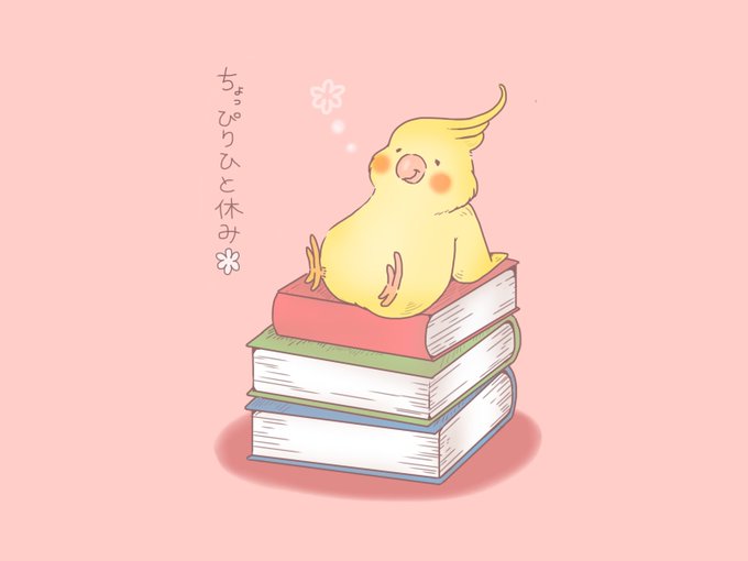 オカメインコのtwitterイラスト検索結果