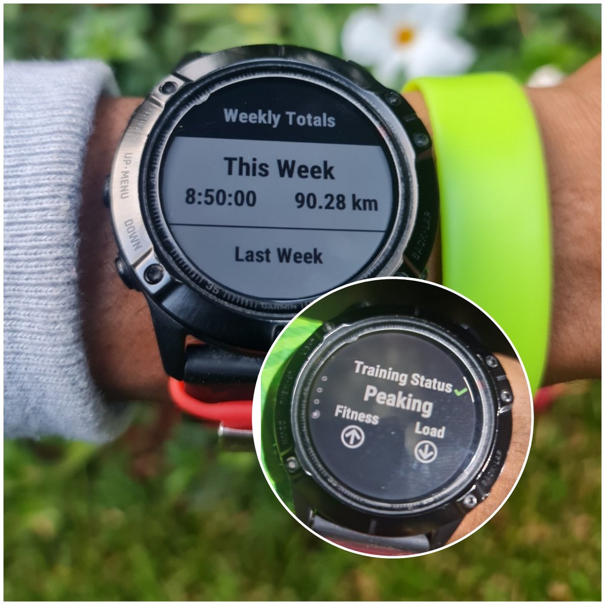 itsdavidthuo1's tweet photo. Peaking.

Garmin says so and programme says so as well.Getting there.

Great Sunday.

#ViennaCityMarathon2022
#inspirethroughrunnin
#www.davidthuo.com
#fitnesswithdavid https://t.co/zieC1pnZGC
