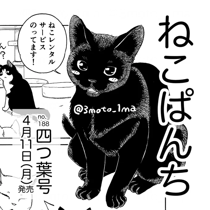 「ねこぱんち」発売です!『ねこレンタルサービス』では新ねこ社員マメの研修の様子をお送りしております。

ねこぱんち 四つ葉号 (にゃんCOMI)   アンソロジー https://t.co/6PsUrnB5w6 @amazonJPより 