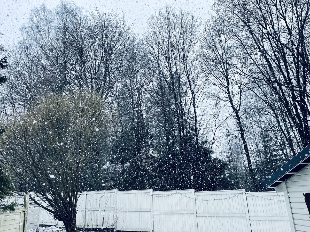 anugyasingh's tweet photo. It’s Sunday morning, close to Easter and it’s still snowing. I look out of my window and think what will kill me first - Climate Change, Putin’s war or a virus. #Morbid #NeedPositivity https://t.co/jXdP8jaghx