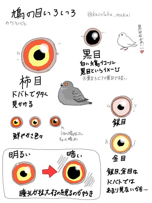 鳩のtwitterイラスト検索結果