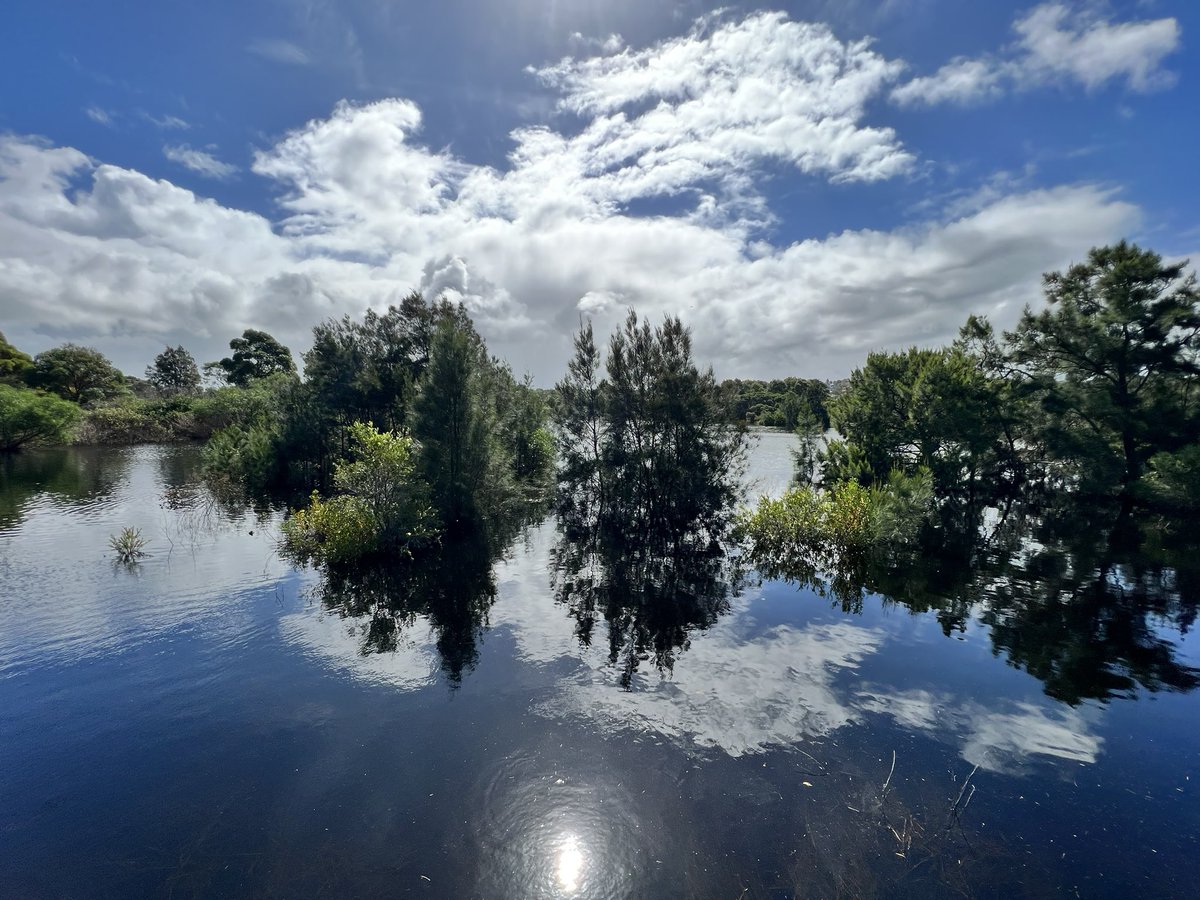 Randwick environment park <a href="/RandwickCouncil/">Randwick Council</a>