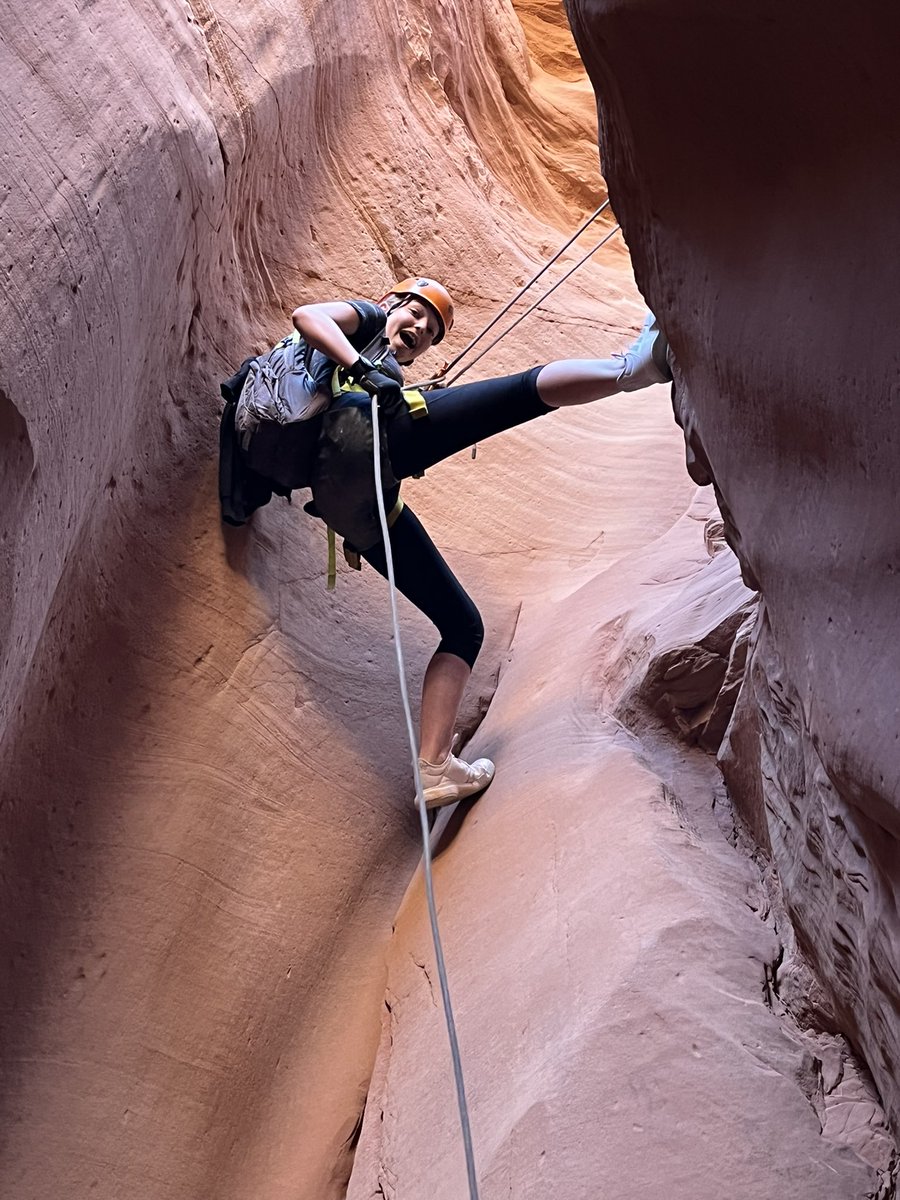 Spencer Cox tweet media