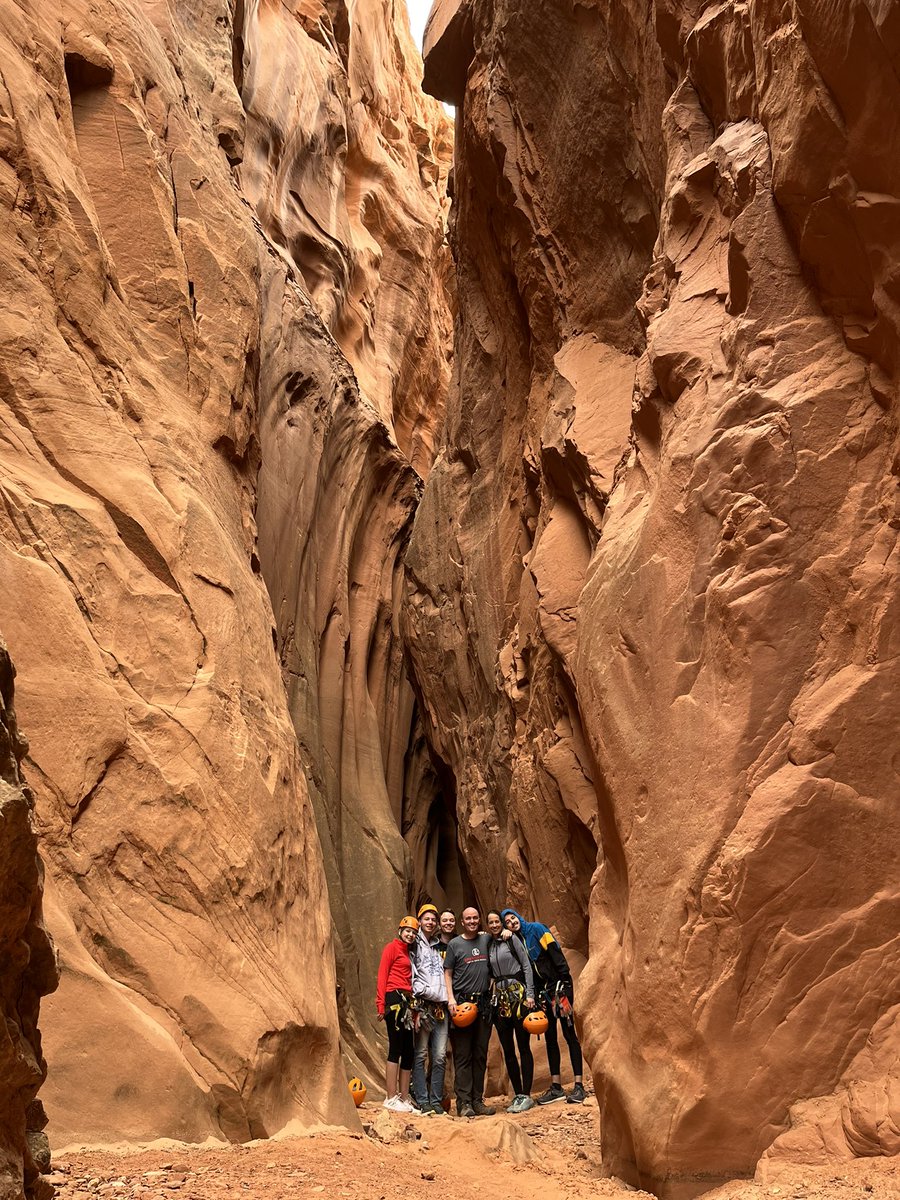 Spencer Cox tweet media