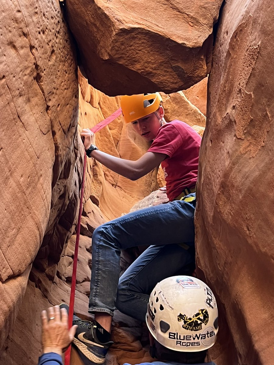 Spencer Cox tweet media