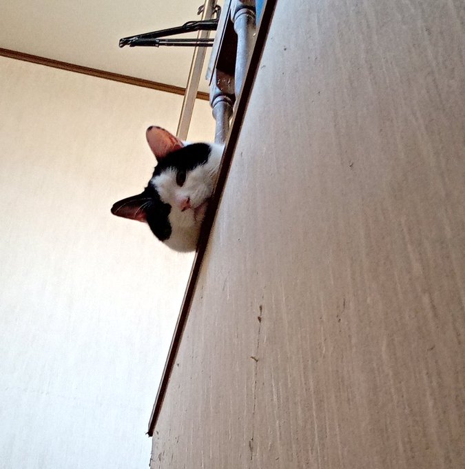 見られてるなあ 