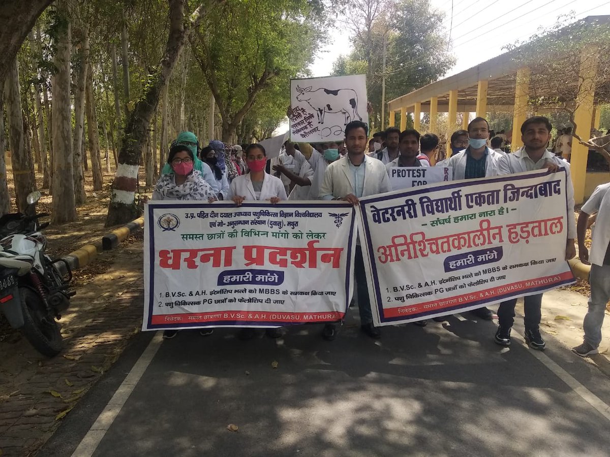विपरीत परिस्थितियों में(संसाधनों के अभाव में)काम करने वाले इंटर्न पशु-चिकित्सकों को मात्र 33₹/day दिया जाता है,आख़िर क्यों??
#UP_Vet_Stipend
#DUVASU_Mathura
#SVPUAT_Meerut
<a href="/dharampalbjpmla/">Dharampal Singh</a> <a href="/myogiadityanath/">Yogi Adityanath</a> <a href="/drsanjeevbalyan/">Dr. Sanjeev Balyan</a> <a href="/sudhirk_garg/">Sudhir Garg</a> <a href="/pdevendra/">Devendra Pandey</a> <a href="/ptshrikant/">Shrikant Sharma</a> <a href="/PMOIndia/">PMO India</a>