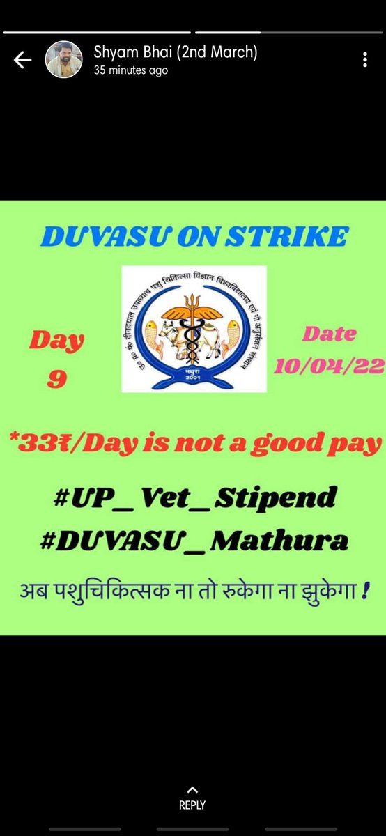 # UP-VET- STIPENED