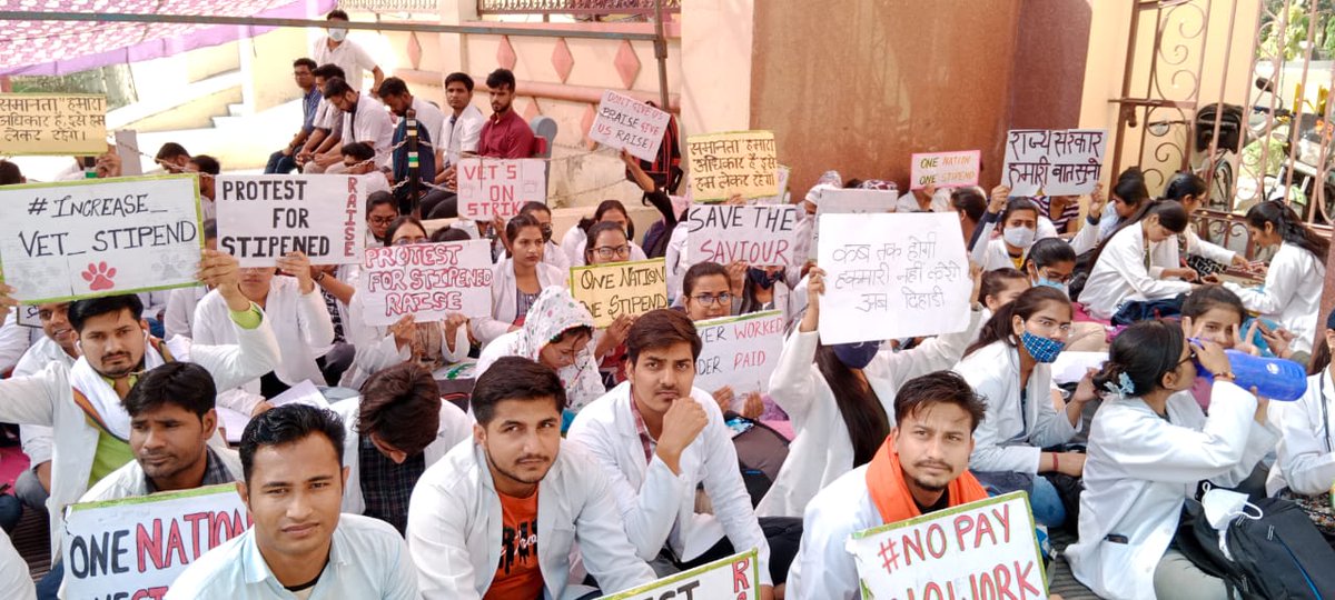हमारा एक ही नारा stipend medical समकक्ष हो हमारा।।
अगर ये माँगे हमारी पूरी नहीं होंगी तो ये हड़ताल ओर भी उग्र होगी।
#UP_Vet_Stipend 
#DUVASU_Mathura 
#SVPUAT_Meerut 
<a href="/dharampalbjpmla/">Dharampal Singh</a> <a href="/pdevendra/">Devendra Pandey</a> <a href="/sudhirk_garg/">Sudhir Garg</a> <a href="/myogiadityanath/">Yogi Adityanath</a> <a href="/PRupala/">Parshottam Rupala</a> <a href="/MLA_Meghshyam/">Meghshyam Singh (मैं हूँ मोदी जी का परिवार )</a> <a href="/News18UP/">News18 Uttar Pradesh</a> <a href="/ANINewsUP/">ANI UP/Uttarakhand</a>