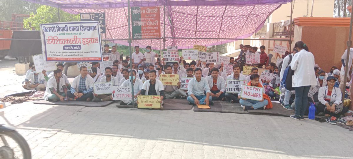 1000 में दम नही,MBBS से कम नही।
#UP_Vet_Stipend 
#DUVASU_Mathura 
#SVPUAT_Meerut 
<a href="/dharampalbjpmla/">Dharampal Singh</a> <a href="/pdevendra/">Devendra Pandey</a> <a href="/sudhirk_garg/">Sudhir Garg</a> <a href="/myogiadityanath/">Yogi Adityanath</a> <a href="/PMOIndia/">PMO India</a> <a href="/PRupala/">Parshottam Rupala</a> <a href="/drsanjeevbalyan/">Dr. Sanjeev Balyan</a> <a href="/MLA_Meghshyam/">Meghshyam Singh (मैं हूँ मोदी जी का परिवार )</a> <a href="/dmmathura7512/">DM Mathura</a> <a href="/ncbjp_laxmi/">Laxmi N Chaudhary</a> <a href="/ANINewsUP/">ANI UP/Uttarakhand</a> <a href="/News18UP/">News18 Uttar Pradesh</a>