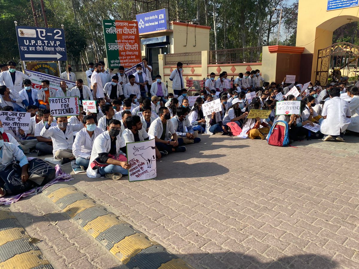 शोक नही मजबूरी हैं,
यह हड़ताल ज़रूरी हैं।
#UP_Vet_Stipend 
#DUVASU_Mathura 
#SVPUAT_Meerut 
<a href="/dharampalbjpmla/">Dharampal Singh</a> <a href="/pdevendra/">Devendra Pandey</a> <a href="/sudhirk_garg/">Sudhir Garg</a> <a href="/myogiadityanath/">Yogi Adityanath</a> <a href="/PMOIndia/">PMO India</a> <a href="/PRupala/">Parshottam Rupala</a> <a href="/drsanjeevbalyan/">Dr. Sanjeev Balyan</a> <a href="/MLA_Meghshyam/">Meghshyam Singh (मैं हूँ मोदी जी का परिवार )</a> @dmmathura7512 <a href="/ncbjp_laxmi/">Laxmi N Chaudhary</a> <a href="/ANINewsUP/">ANI UP/Uttarakhand</a> <a href="/News18UP/">News18 Uttar Pradesh</a>