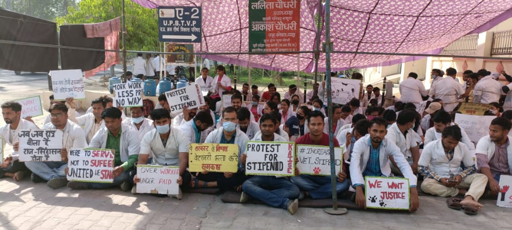 सफलता नजदीक है..
बस लड़ना थोड़ा ज्यादा देर तक है..!!💪
#UP_Vet_Stipend 
#DUVASU_Mathura 
#SVPUAT_Meerut 
<a href="/dharampalbjpmla/">Dharampal Singh</a> <a href="/pdevendra/">Devendra Pandey</a> <a href="/sudhirk_garg/">Sudhir Garg</a> <a href="/myogiadityanath/">Yogi Adityanath</a> <a href="/PMOIndia/">PMO India</a> <a href="/PRupala/">Parshottam Rupala</a> <a href="/drsanjeevbalyan/">Dr. Sanjeev Balyan</a> <a href="/MLA_Meghshyam/">Meghshyam Singh (मैं हूँ मोदी जी का परिवार )</a> @dmmathura7512 <a href="/ncbjp_laxmi/">Laxmi N Chaudhary</a> <a href="/ANINewsUP/">ANI UP/Uttarakhand</a> <a href="/News18UP/">News18 Uttar Pradesh</a>