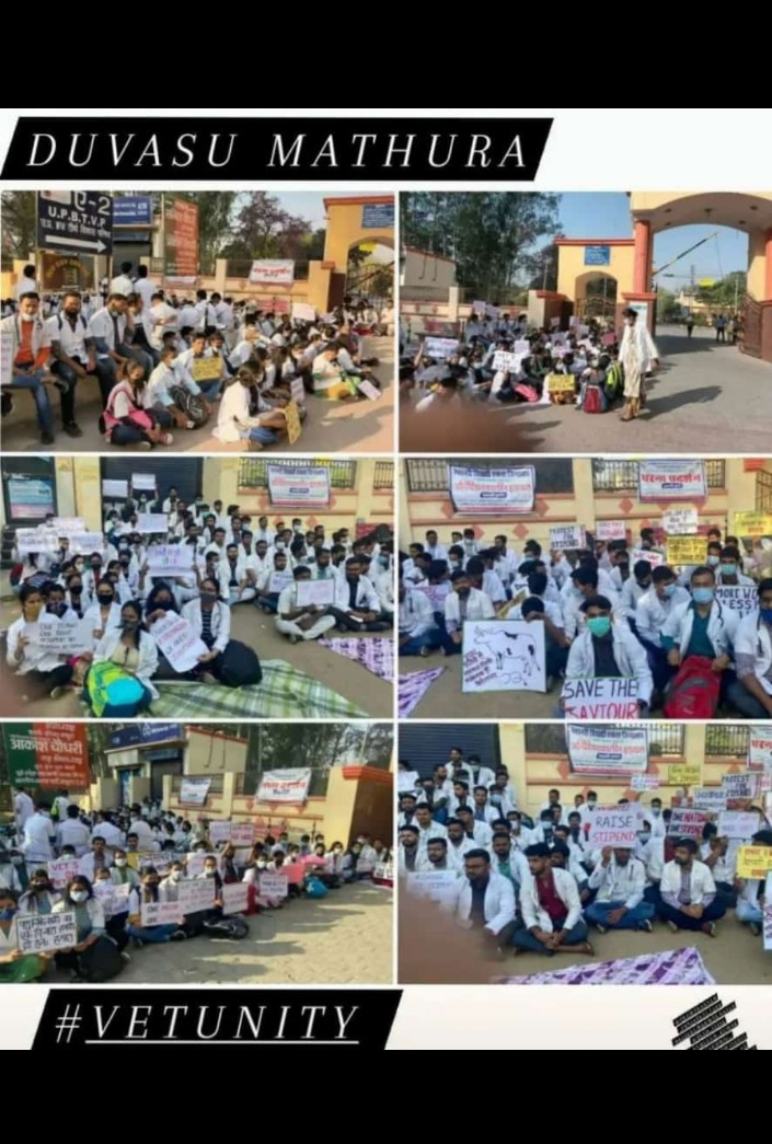 #Increase_UP_vets_Stipend
#DUVASU_Mathura
#SVPUAT_Meerut
#ANDUAT_Ayodhya
<a href="/dharampalbjpmla/">Dharampal Singh</a> <a href="/girirajsinghbjp/">Giriraj Singh</a> 
<a href="/myogiadityanath/">Yogi Adityanath</a> <a href="/PMOIndia/">PMO India</a> <a href="/presidentVCI/">Dr. Umesh C Sharma</a> <a href="/PRupala/">Parshottam Rupala</a> <a href="/drsanjeevbalyan/">Dr. Sanjeev Balyan</a> <a href="/rakesh22440/">Dr R K Shukla</a> @dmmathura7512 <a href="/ptshrikant/">Shrikant Sharma</a> <a href="/ncbjp_laxmi/">Laxmi N Chaudhary</a> <a href="/Chirantan200/">Dr.Chirantan Kadian</a>