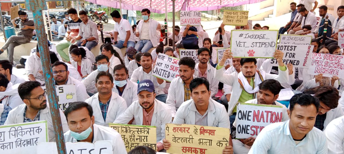 आखिर ऐसा भेदभाव क्यों ?
इंटर्न पशु चिकित्सक भत्ता भी मेडिकल इंटर्न चिकित्सक के समान होना चाहिए।
#UP_Vet_Stipend 
#DUVASU_Mathura 
#SVPUAT_Meerut 
<a href="/dharampalbjpmla/">Dharampal Singh</a> <a href="/pdevendra/">Devendra Pandey</a> <a href="/sudhirk_garg/">Sudhir Garg</a> <a href="/myogiadityanath/">Yogi Adityanath</a> <a href="/PMOIndia/">PMO India</a> <a href="/PRupala/">Parshottam Rupala</a> <a href="/drsanjeevbalyan/">Dr. Sanjeev Balyan</a> <a href="/MLA_Meghshyam/">Meghshyam Singh (मैं हूँ मोदी जी का परिवार )</a> <a href="/ANINewsUP/">ANI UP/Uttarakhand</a> <a href="/News18UP/">News18 Uttar Pradesh</a>