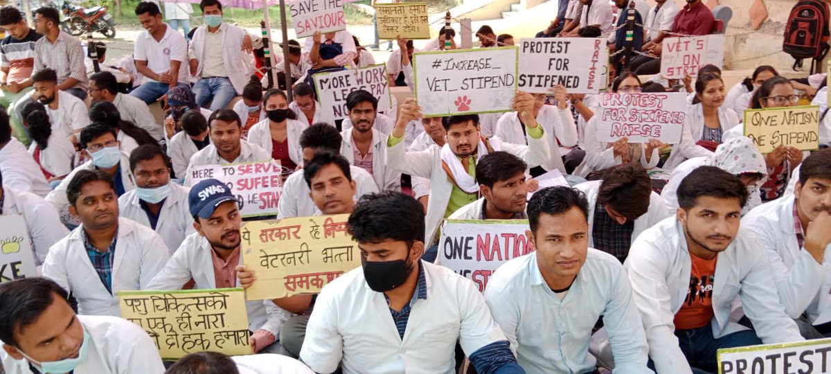 विपरीत परिस्थितियों में(संसाधनों के अभाव में)काम करने वाले इंटर्न पशु-चिकित्सकों को मात्र 33₹/day दिया जाता है,आख़िर क्यों??
#UP_Vet_Stipend
#DUVASU_Mathura
#SVPUAT_Meerut
<a href="/dharampalbjpmla/">Dharampal Singh</a> <a href="/myogiadityanath/">Yogi Adityanath</a> <a href="/drsanjeevbalyan/">Dr. Sanjeev Balyan</a> <a href="/sudhirk_garg/">Sudhir Garg</a> <a href="/pdevendra/">Devendra Pandey</a> <a href="/ptshrikant/">Shrikant Sharma</a> <a href="/PMOIndia/">PMO India</a>