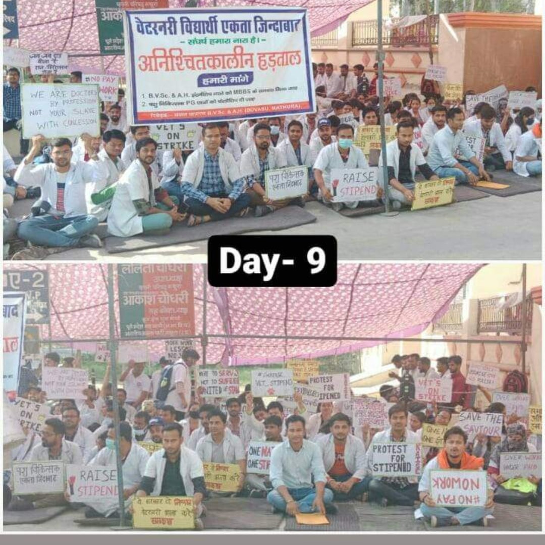 विपरीत परिस्थितियों में(संसाधनों के अभाव में)काम करने वाले इंटर्न पशु-चिकित्सकों को मात्र 33₹/day दिया जाता है,आख़िर क्यों??
#UP_Vet_Stipend
#DUVASU_Mathura
#SVPUAT_Meerut
<a href="/dharampalbjpmla/">Dharampal Singh</a> <a href="/myogiadityanath/">Yogi Adityanath</a> <a href="/drsanjeevbalyan/">Dr. Sanjeev Balyan</a> <a href="/sudhirk_garg/">Sudhir Garg</a> <a href="/pdevendra/">Devendra Pandey</a> <a href="/ptshrikant/">Shrikant Sharma</a> <a href="/PMOIndia/">PMO India</a>
