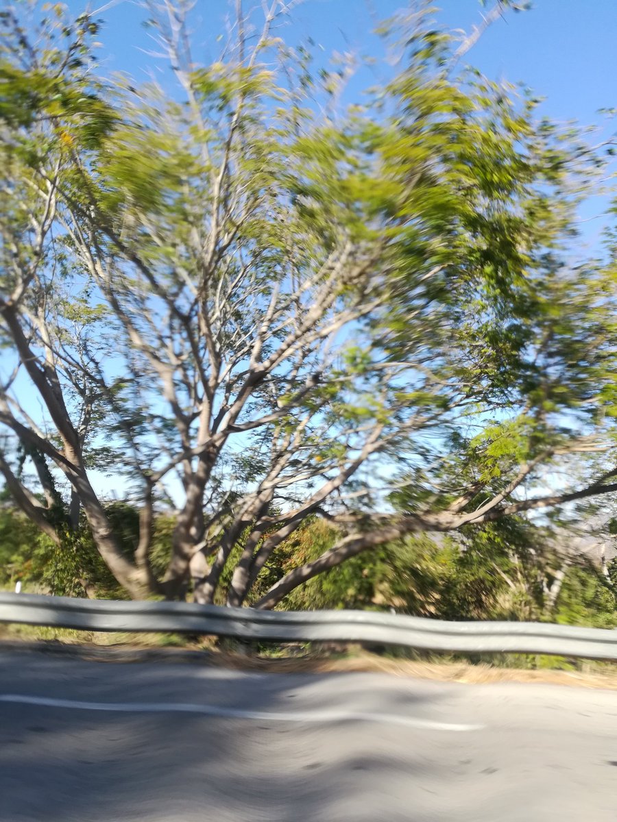 viajeras19's tweet photo. Distorsiones.
Vivimos a partir de ideas ajenas, vivimos en un espacio diseñado para ser domesticados. Vemos en el mundo lo que somos. 

#Photography #Photo #Nature #naturaleza https://t.co/a9TFdlN6Ui