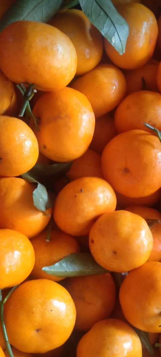 Segar buat buka puasa nanti .