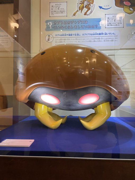 ポケモン化石博物館の予約が取れない チケット取り方やグッズ情報を調査 すくハピらいふ