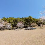 小豆島国際ホテル【公式】恋人の聖地エンジェルロードに一番近い宿★全室オーシャンビューのツイート画像