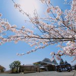 小豆島国際ホテル【公式】恋人の聖地エンジェルロードに一番近い宿★全室オーシャンビューのツイート画像
