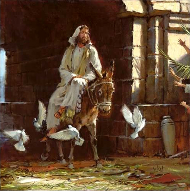 IRFMx's tweet photo. ✞ L’#Évangile du #jour :
« Et #Jésus #trouva un #ânon et #monta dessus, selon qu’il est #écrit : “Ne #crains point, #fille de #Sion, voici ton #Roi qui #vient #assis sur le #poulain de l’#ânesse” ». https://t.co/Tjixa3wX00