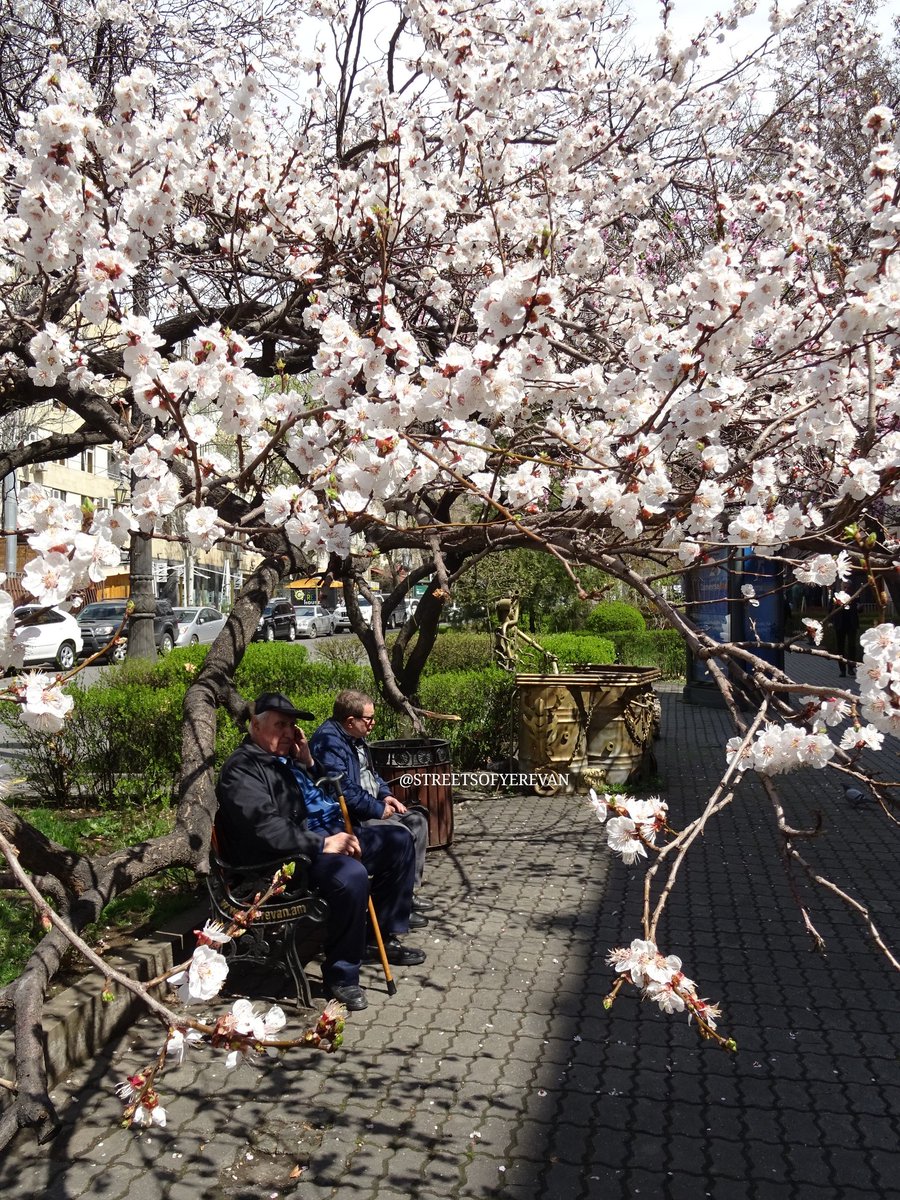 streetsofevn's tweet photo. գ ա ր ու ն ❤️
.
#Yerevan #Armenia #StreetsofYerevan https://t.co/K1beyF5hQI