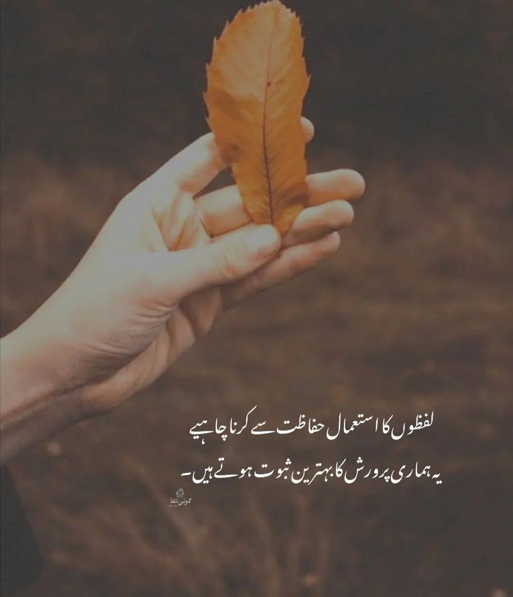 Naima Qureshi tweet media