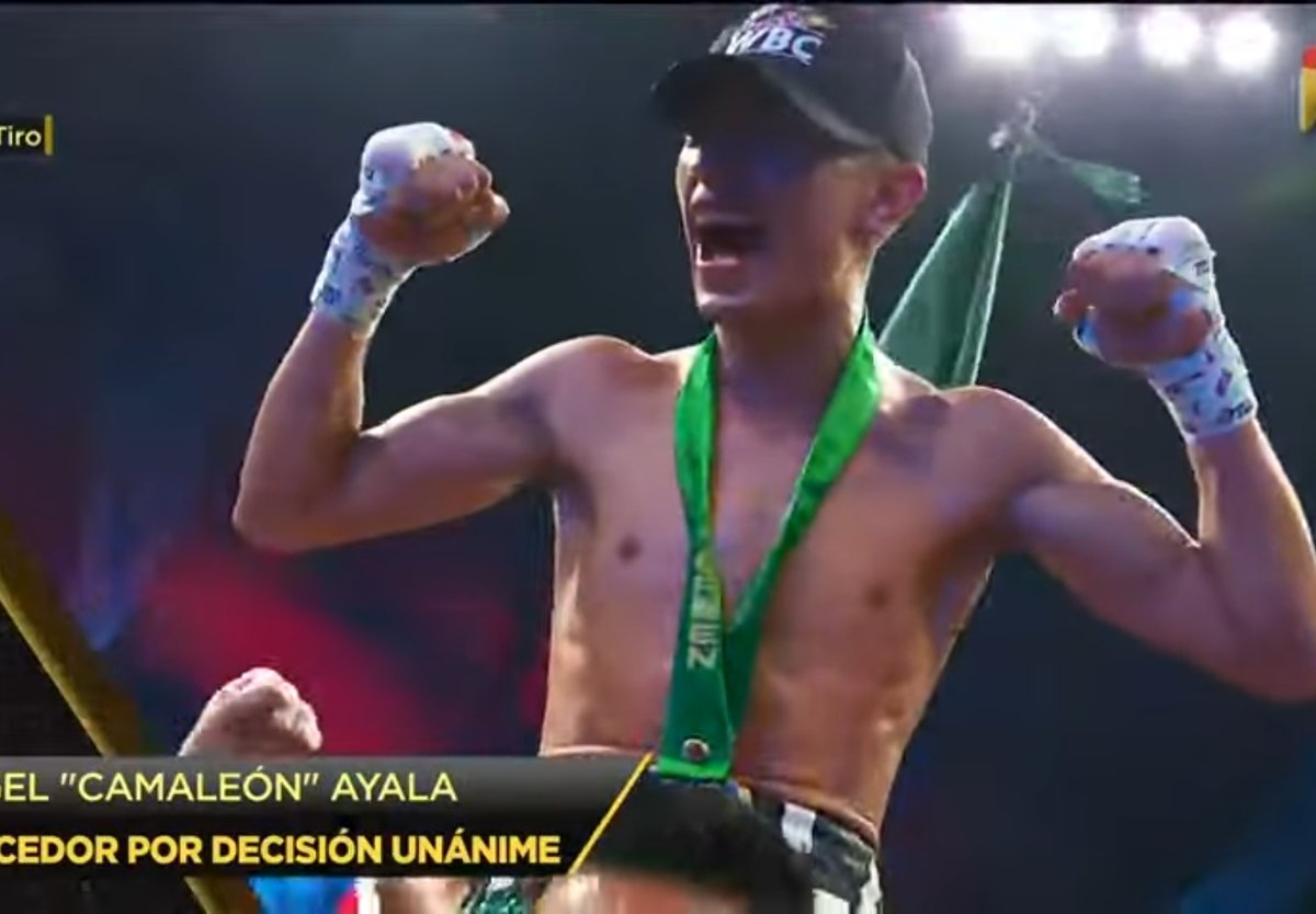 lucha_box's tweet photo. ¡El "Camaleón" se llevó la victoria! 🔥

Ángel "Camaleón" Ayala derrotó a Cristofer Rosales por decisión unánime en Metepec.

#Camaleon #AyalaRosales #boxazteca #zanfer #boxing #boxeo https://t.co/byfhSeIBEd