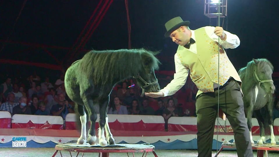 DenzilMclaren's tweet photo. Today at 3pm will a perfect time to laugh, have fun and joy @mclarenscircus in #Milnerton Today and on to 18 April
#CapeTown Coming soon to #CapeWestCoast #Weskus
All Show Times https://t.co/ZUr3Opg5zR
Visit #Africa's Greatest Show πππ€‘π΄
May All Your Days Be Happy #CircusDays https://t.co/CThxg8Nfyn